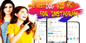 best dog bio for Instagram