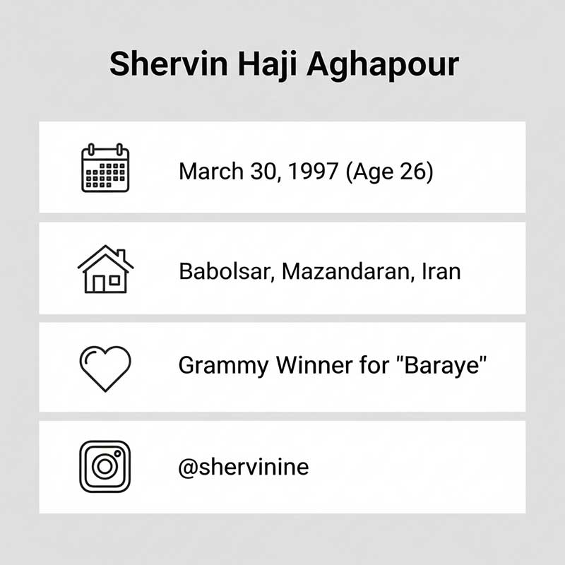 Key Facts About Shervin Hajipour
